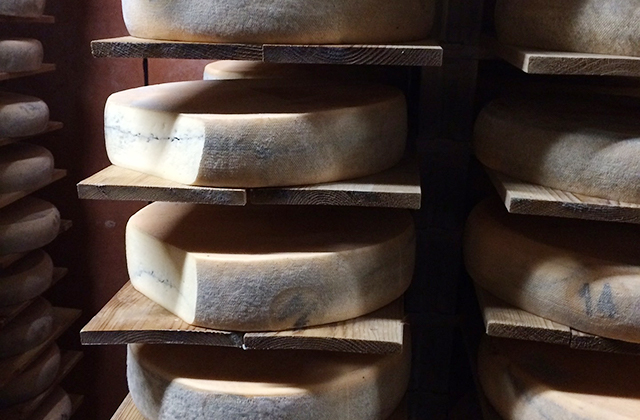モルビエってどんなチーズ？黒い線の由来や味の特徴、食べ方は？ | チーズ専門サイト【 リル ド フロマージュ